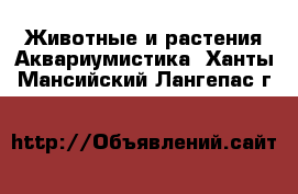 Животные и растения Аквариумистика. Ханты-Мансийский,Лангепас г.